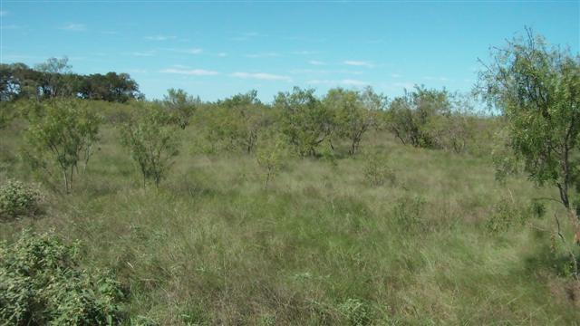 41 Acres