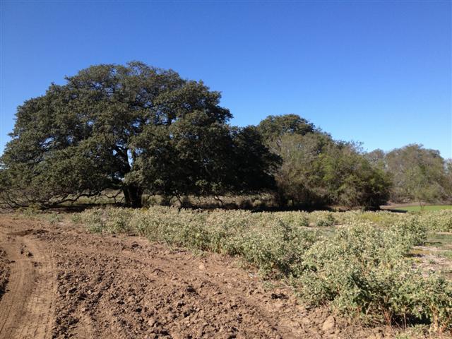 95acres