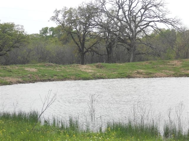 Carl87acres