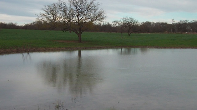 66 acre MtCalm