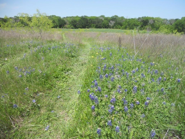 Haak.110.Acres.Falls.Co 033
