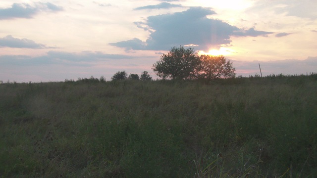 SAM_24862