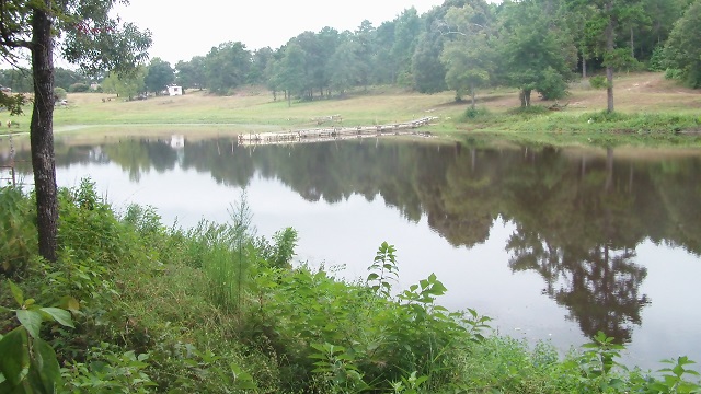 SAM_3242