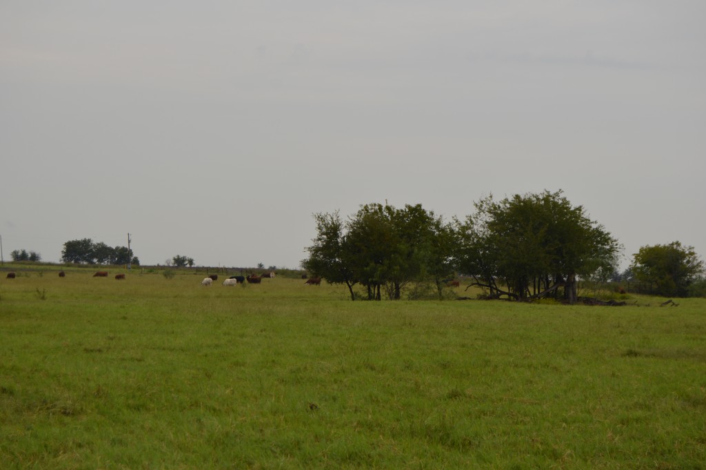 DSC_0058