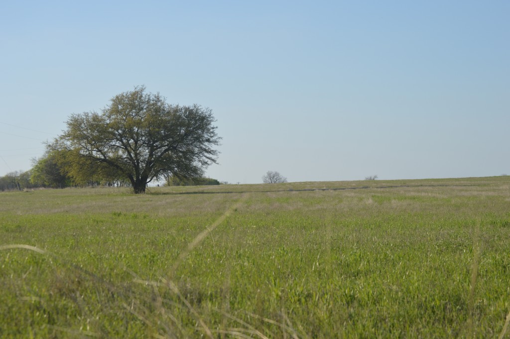 DSC_1063