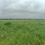 64.1 Acres MOL Custom Home Site,  Crop, Pasture & Recreation Land